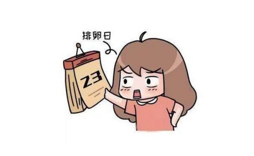 杭州正规代怀：﻿促排药和促排针应该怎么选，三分钟告诉你区别在哪里