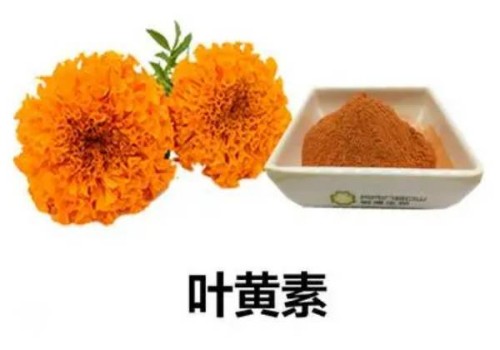 杭州试管代怀生子：﻿小儿止咳贴有副作用吗？小儿止咳贴这些注意事项最好知道