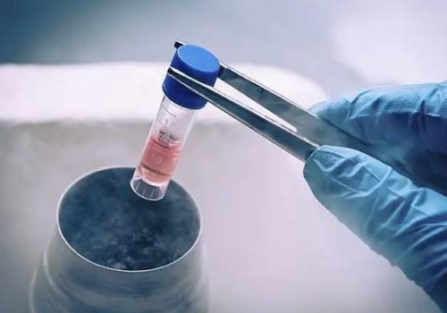 杭州供卵代生：﻿怀男孩一般是子宫前位还是后位,两者的区别看完就知道