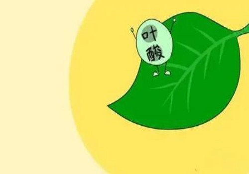 杭州供卵试管：﻿保胎不一定要住院，在家卧床效果一样好